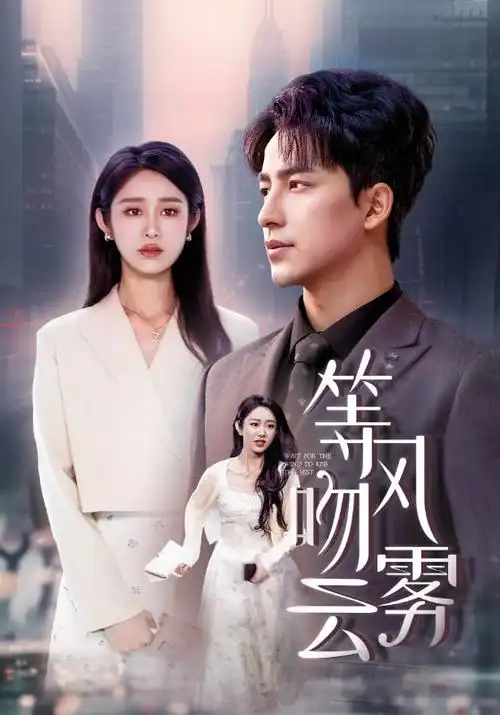 无声证词 韩国法庭悬疑剧集